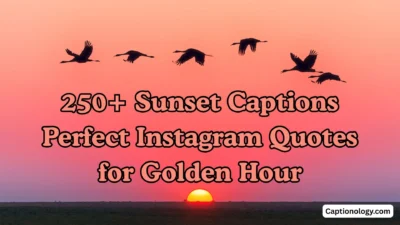 250+ Sunset Captions Perfect Instagram Quotes for Golden Hour