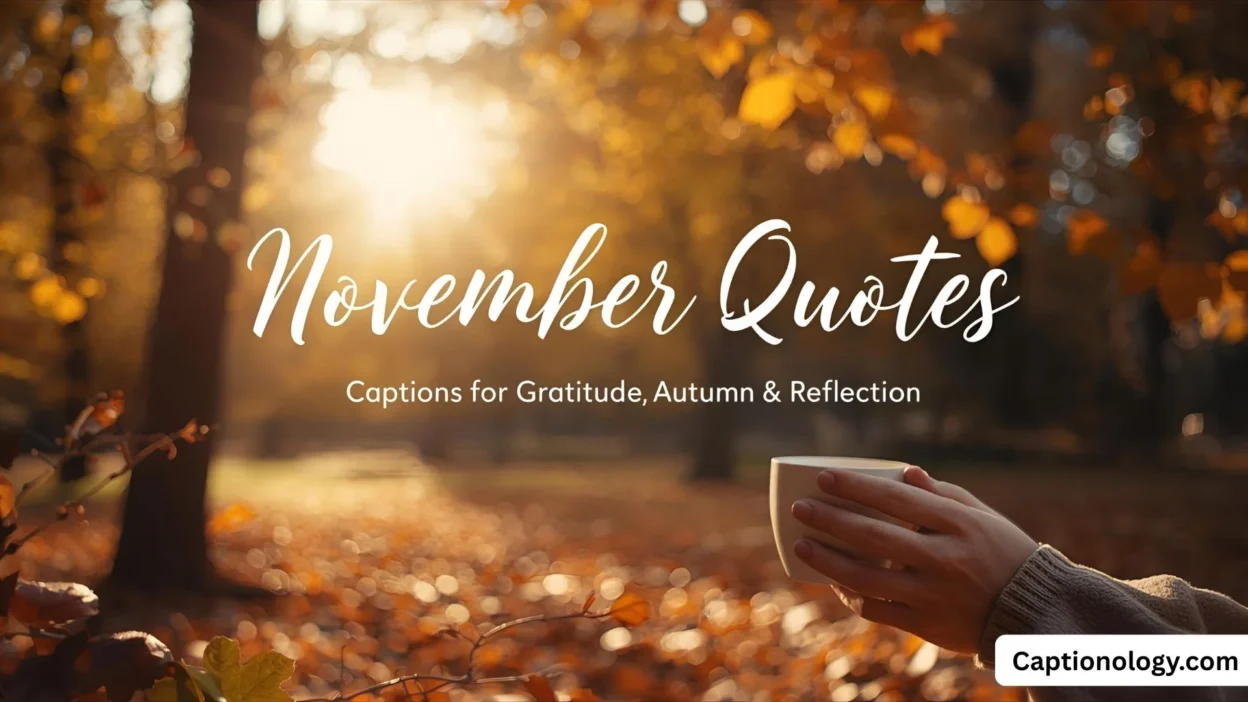 300+ November Quotes Captions for Gratitude, Autumn & Reflection