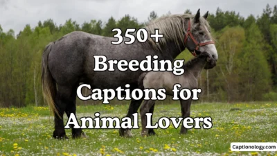 350+ Breeding Captions for Animal Lovers 🐾