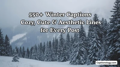 550+ Winter Captions Cozy, Cute & Aesthetic Lines for Every Post